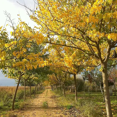 Hotel Rural Marialba Monte la Reina
