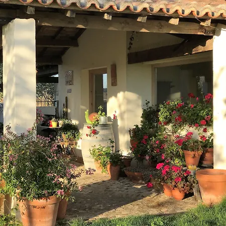 Hotel Rural Marialba Monte la Reina